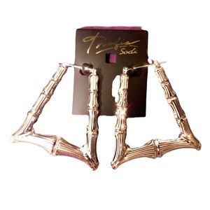 COPY - NWT! Thalia Sodi Silver Bamboo Triangle Ho…